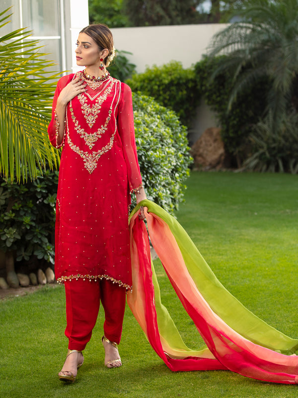 Hot Red Pure Organza Outfit