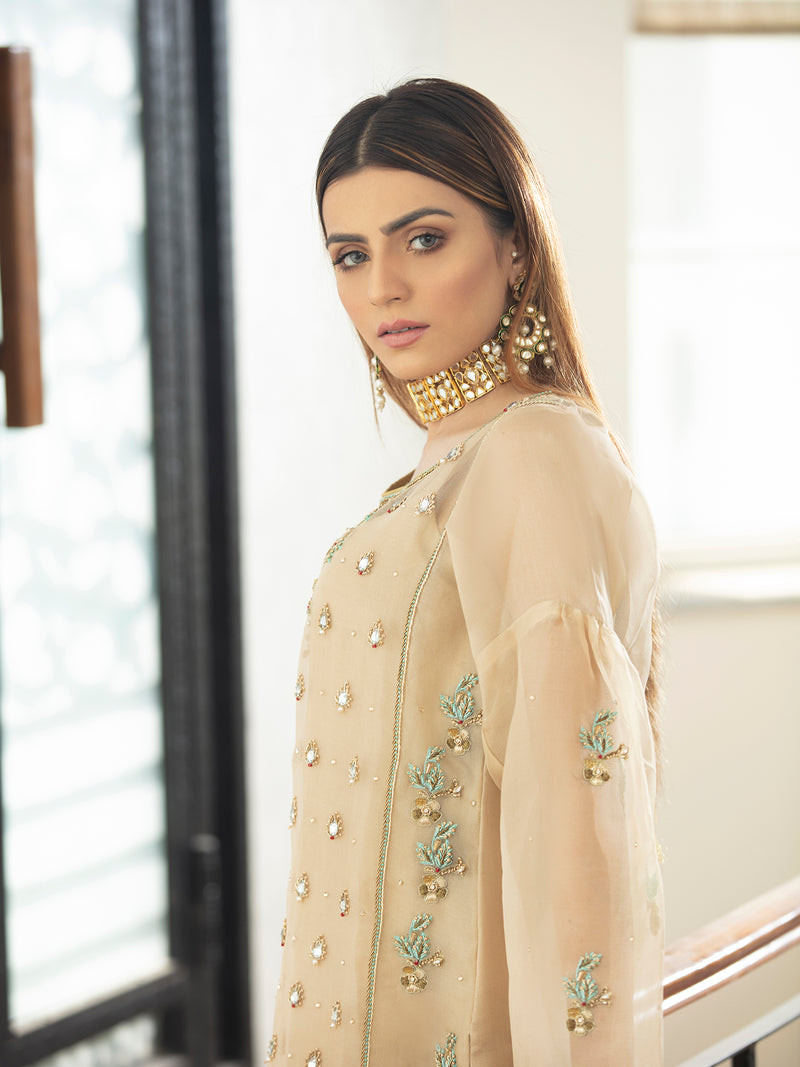 Skin Colored Pure Organza Outfit