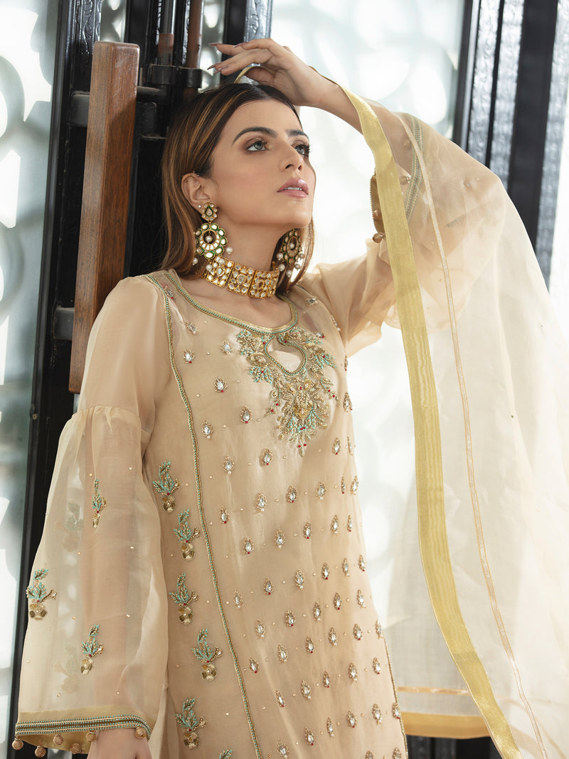 Skin Colored Pure Organza Outfit